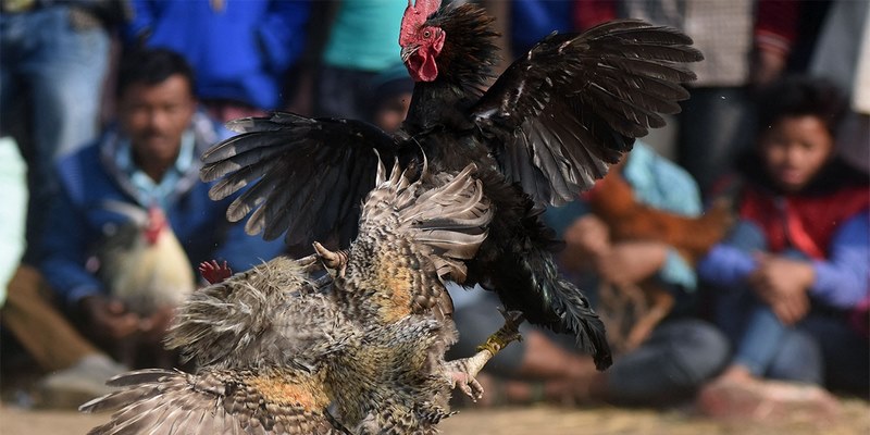 Đá hồi mã thương có nhiều ưu điểm nổi bật